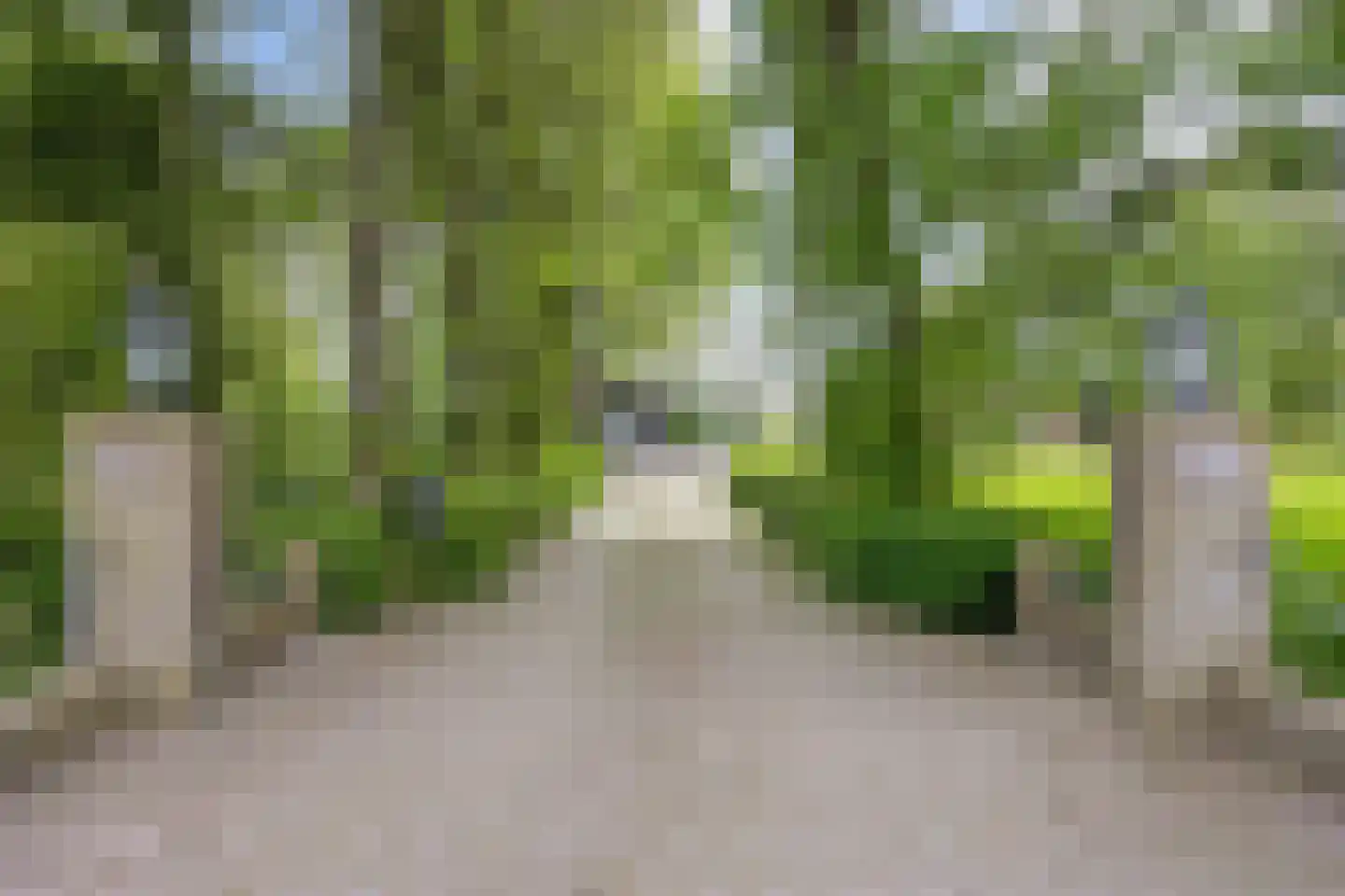 Zuidermiedweg 2 Hallum thumbnail 12
