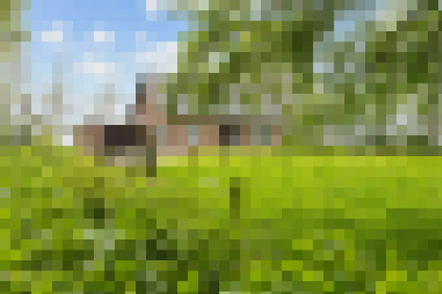 Zuidermiedweg 2 Hallum thumbnail 13