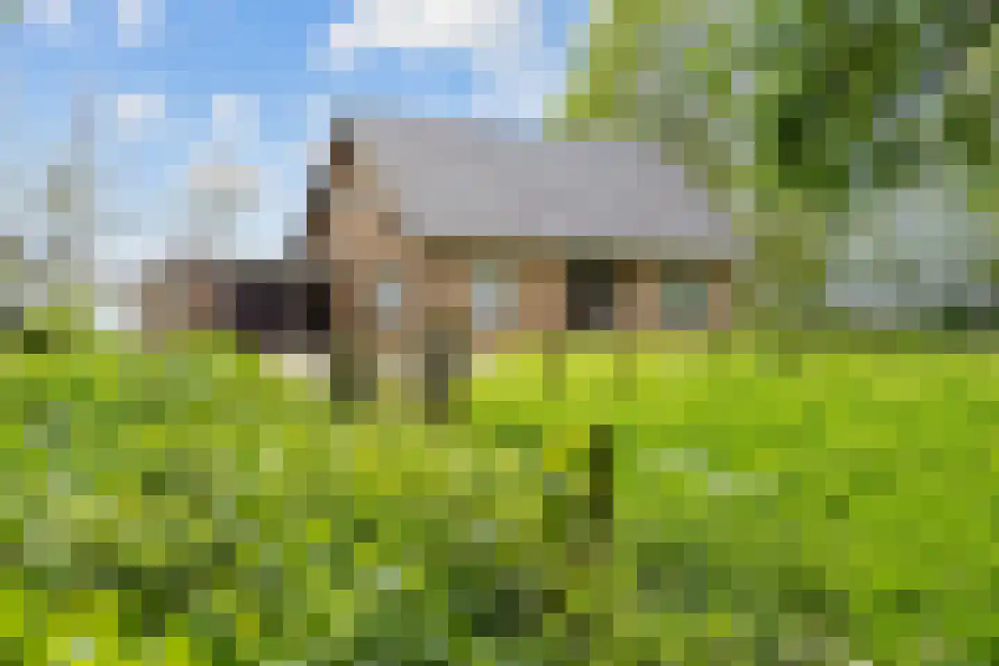 Zuidermiedweg 2 Hallum thumbnail 14