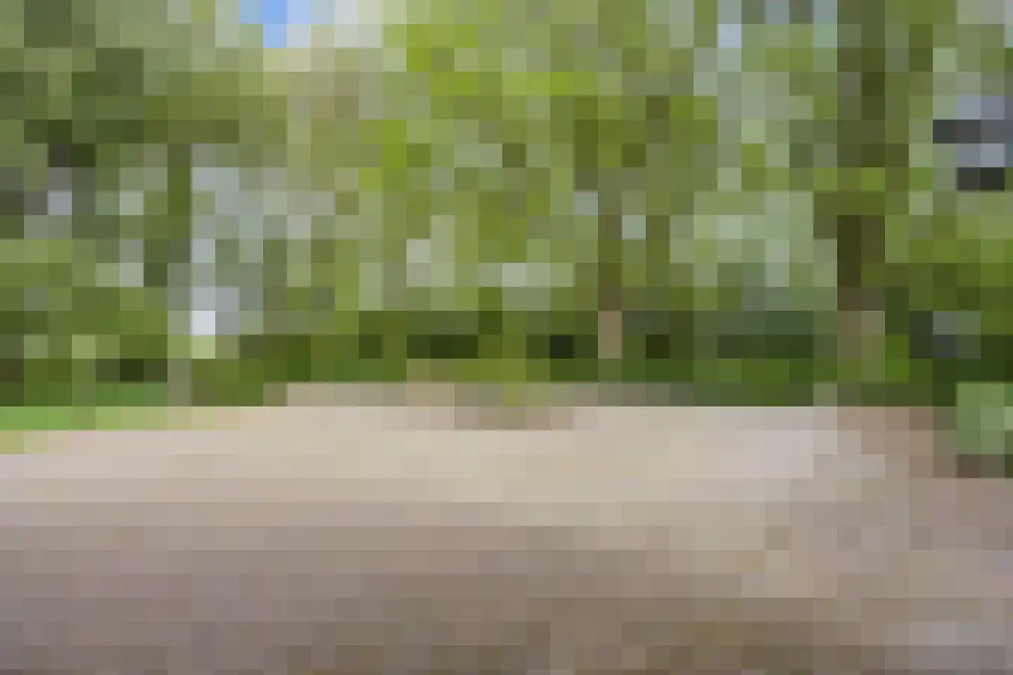 Zuidermiedweg 2 Hallum thumbnail 16