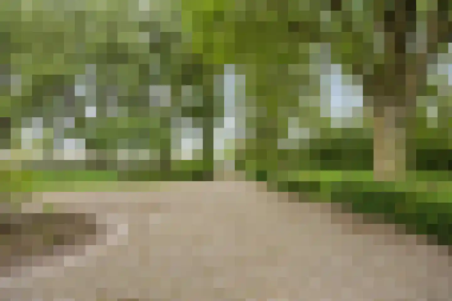 Zuidermiedweg 2 Hallum thumbnail 17