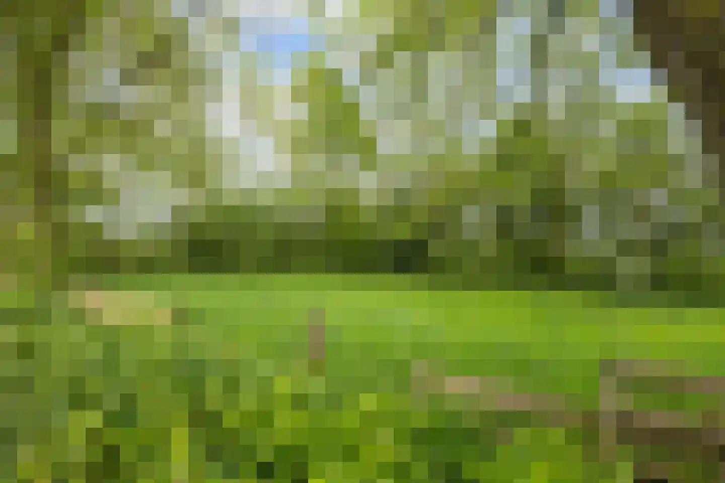 Zuidermiedweg 2 Hallum thumbnail 18