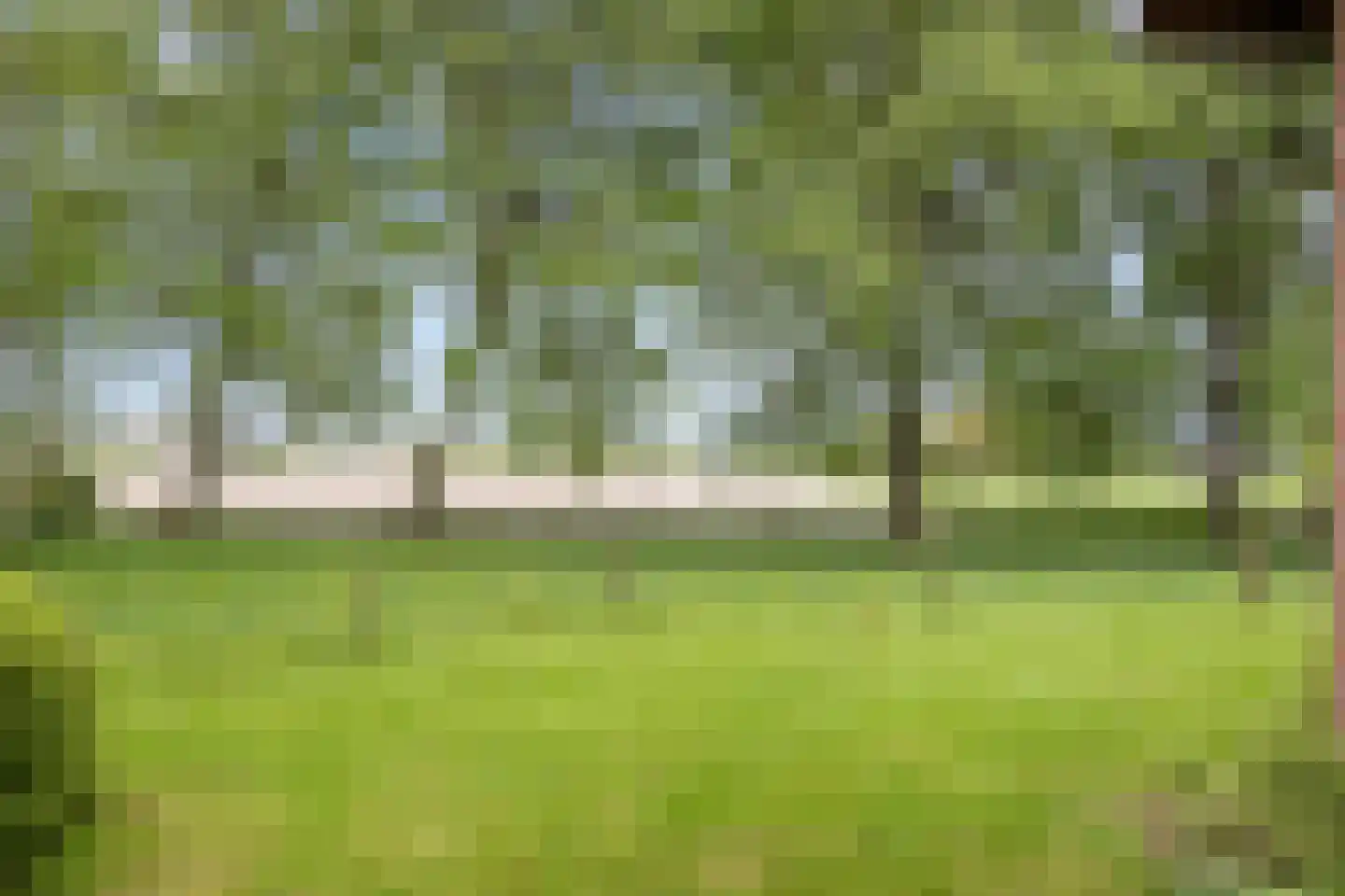 Zuidermiedweg 2 Hallum thumbnail 19