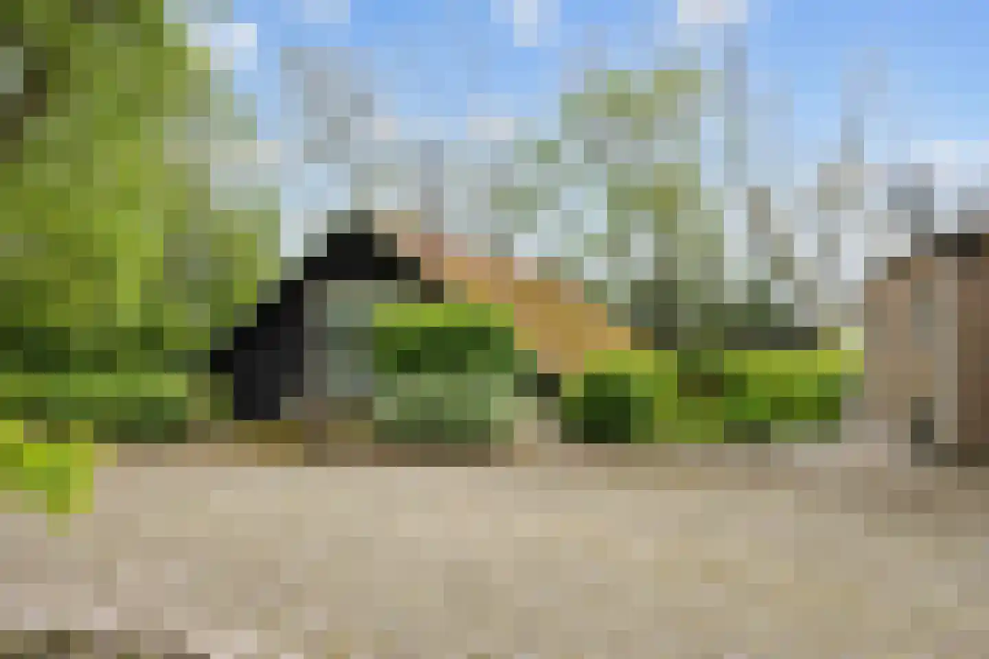 Zuidermiedweg 2 Hallum thumbnail 20