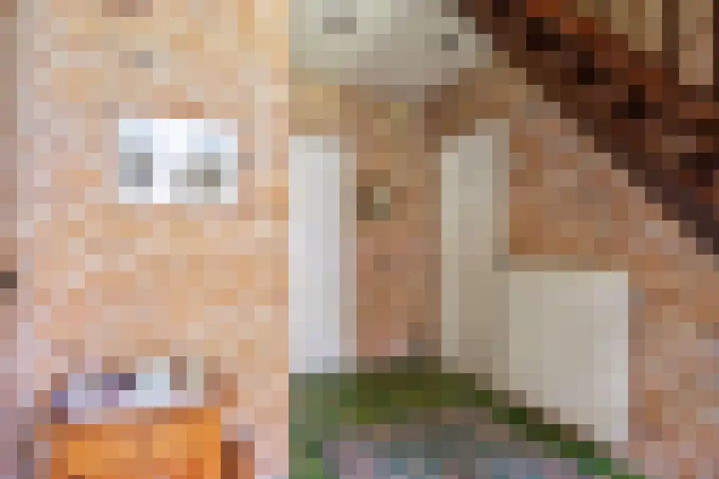 Zuidermiedweg 2 Hallum thumbnail 25