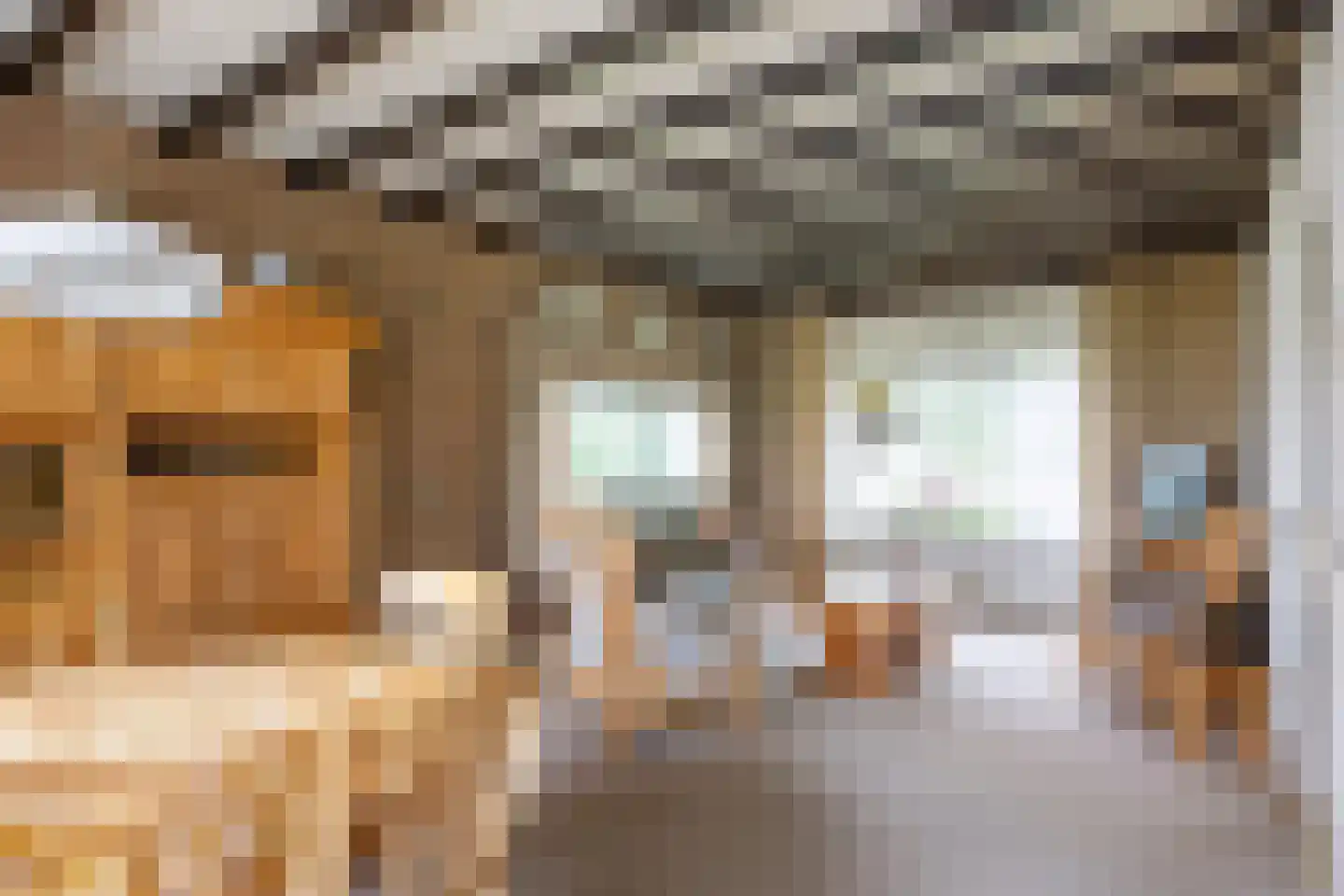 Zuidermiedweg 2 Hallum thumbnail 26