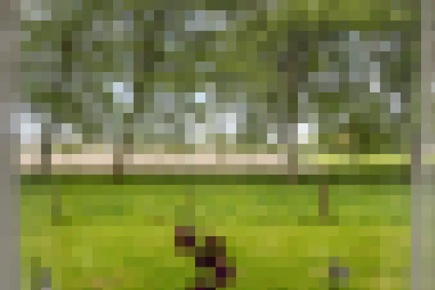 Zuidermiedweg 2 Hallum thumbnail 29