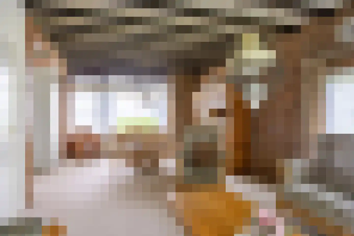 Zuidermiedweg 2 Hallum thumbnail 30