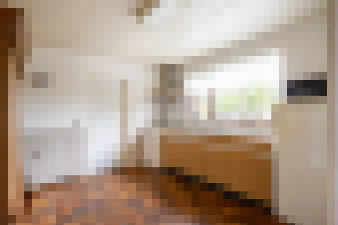 Zuidermiedweg 2 Hallum thumbnail 34