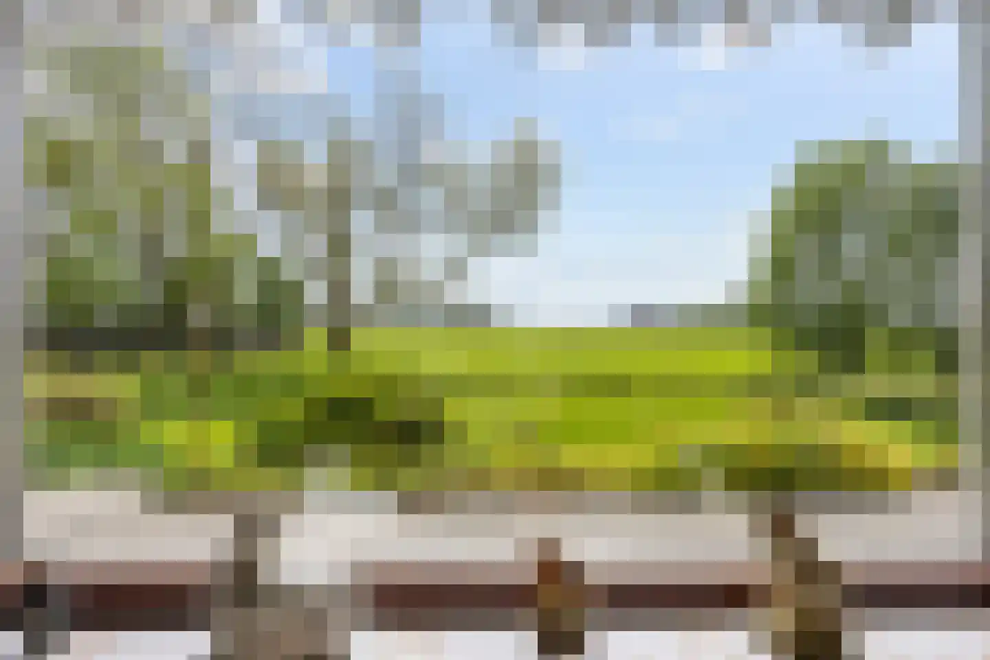 Zuidermiedweg 2 Hallum thumbnail 36