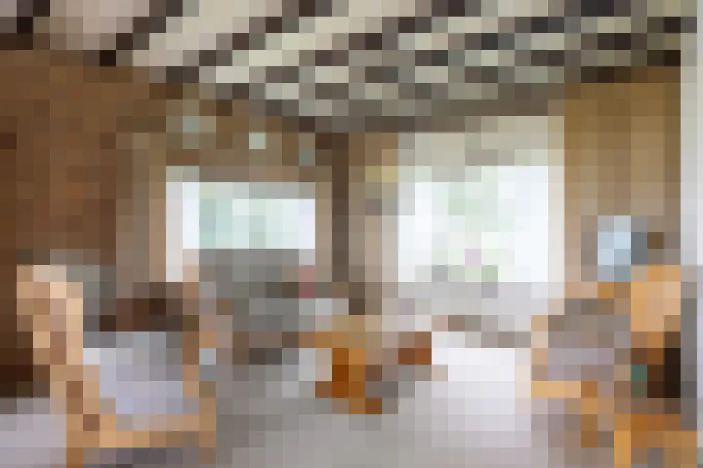 Zuidermiedweg 2 Hallum thumbnail 4