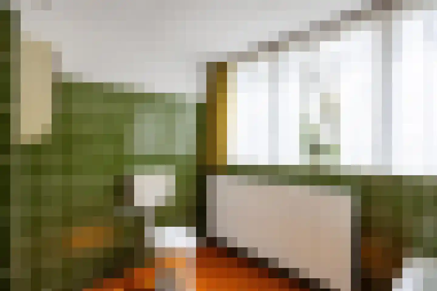 Zuidermiedweg 2 Hallum thumbnail 53