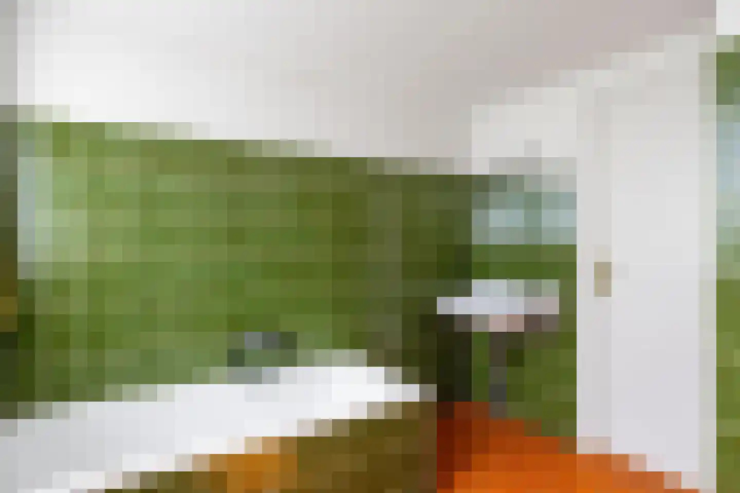 Zuidermiedweg 2 Hallum thumbnail 54