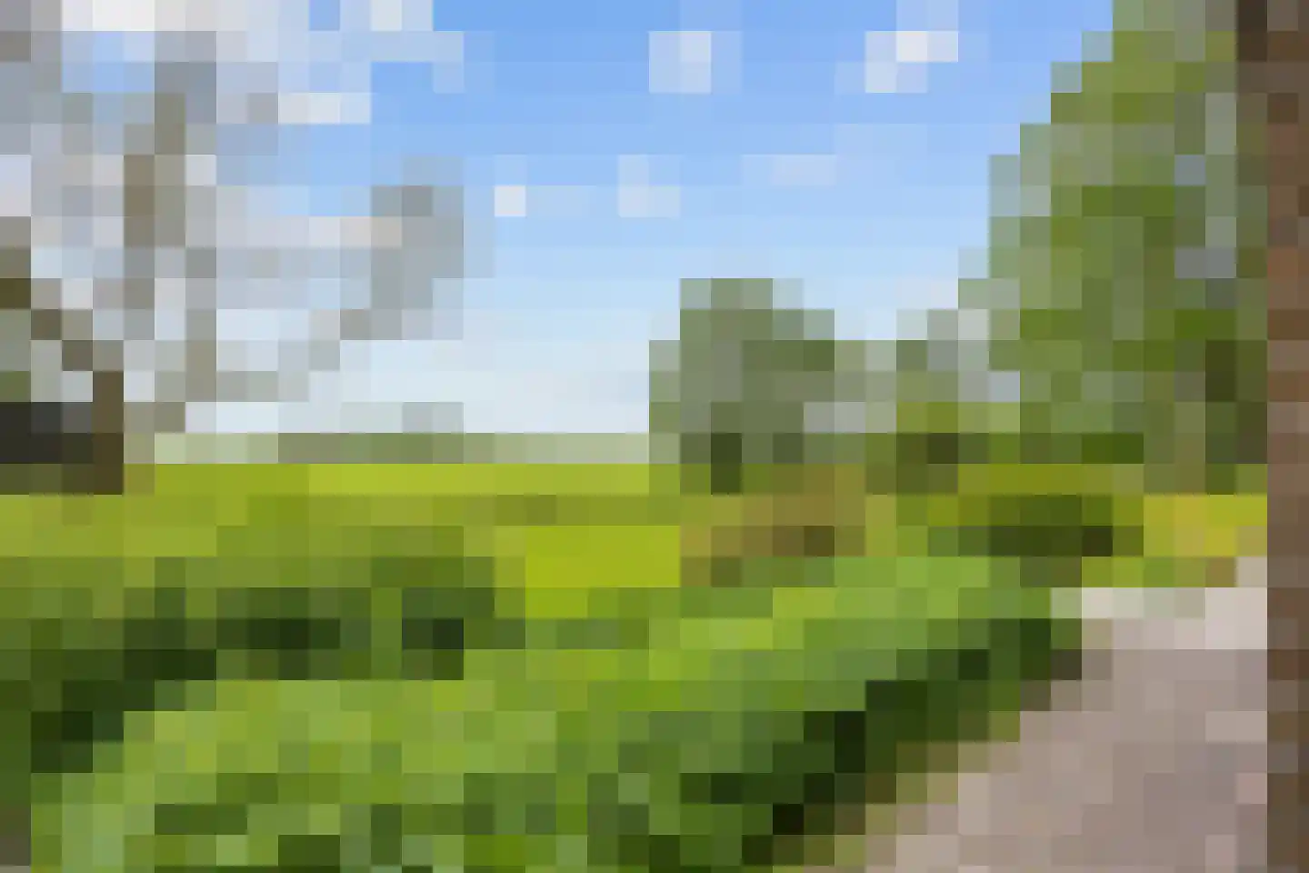 Zuidermiedweg 2 Hallum thumbnail 55