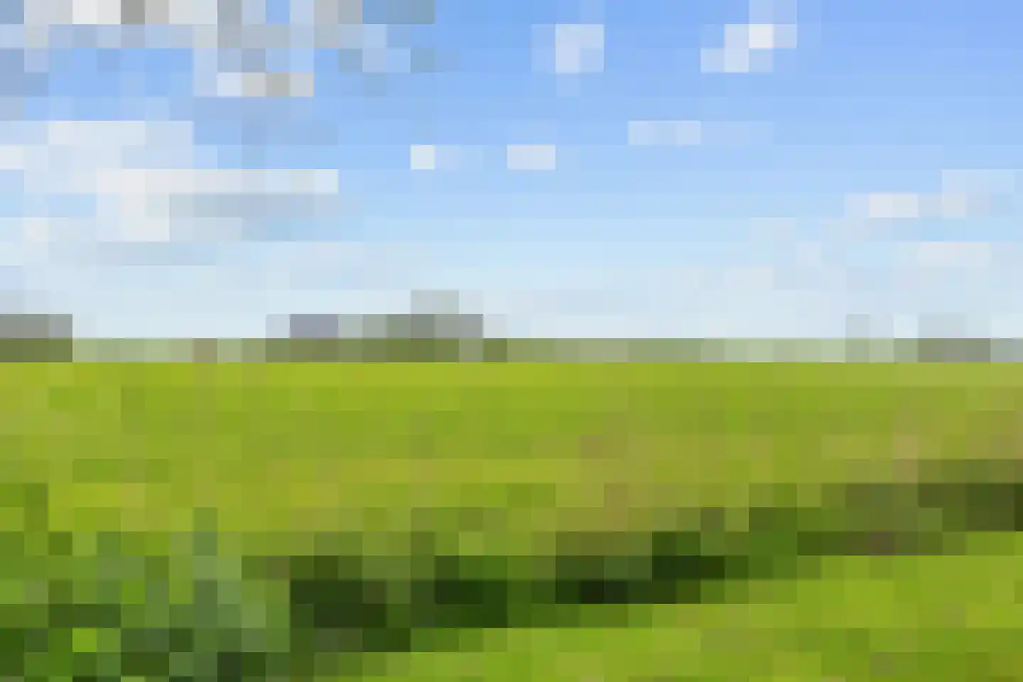 Zuidermiedweg 2 Hallum thumbnail 59