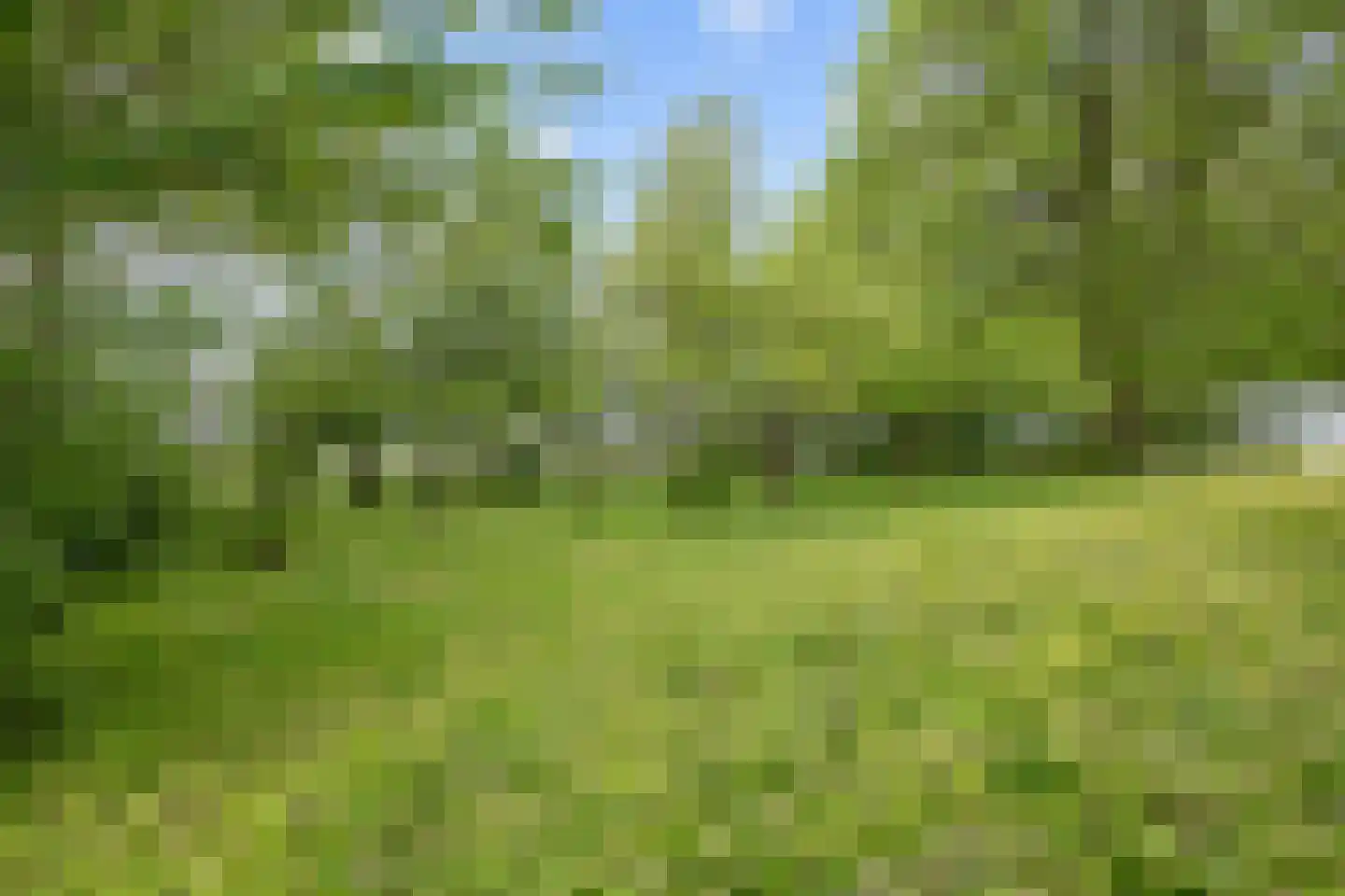 Zuidermiedweg 2 Hallum thumbnail 63