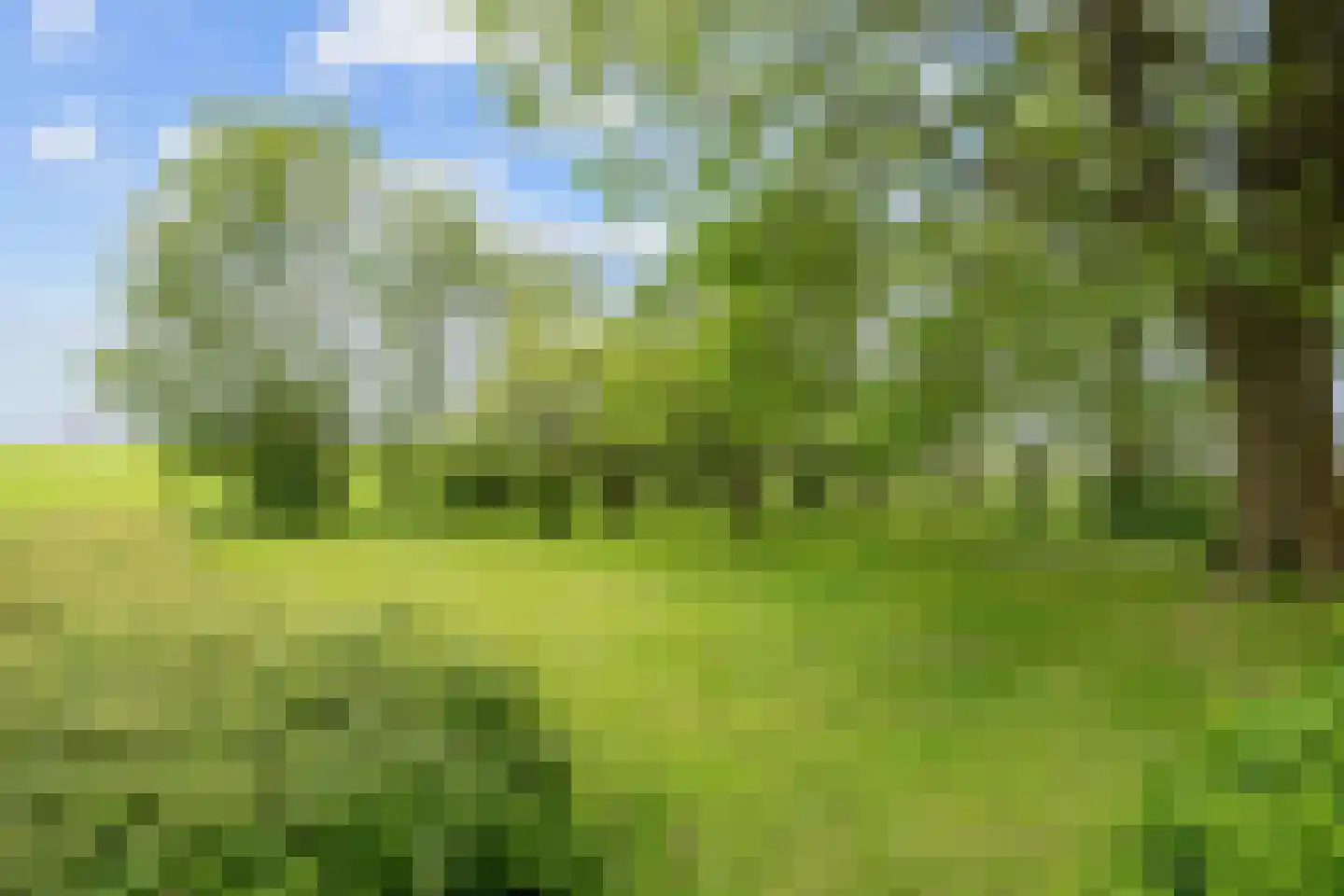 Zuidermiedweg 2 Hallum thumbnail 64