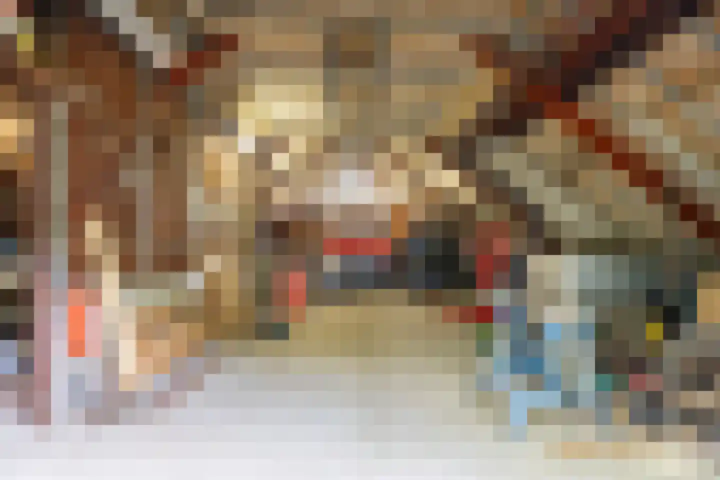 Zuidermiedweg 2 Hallum thumbnail 65