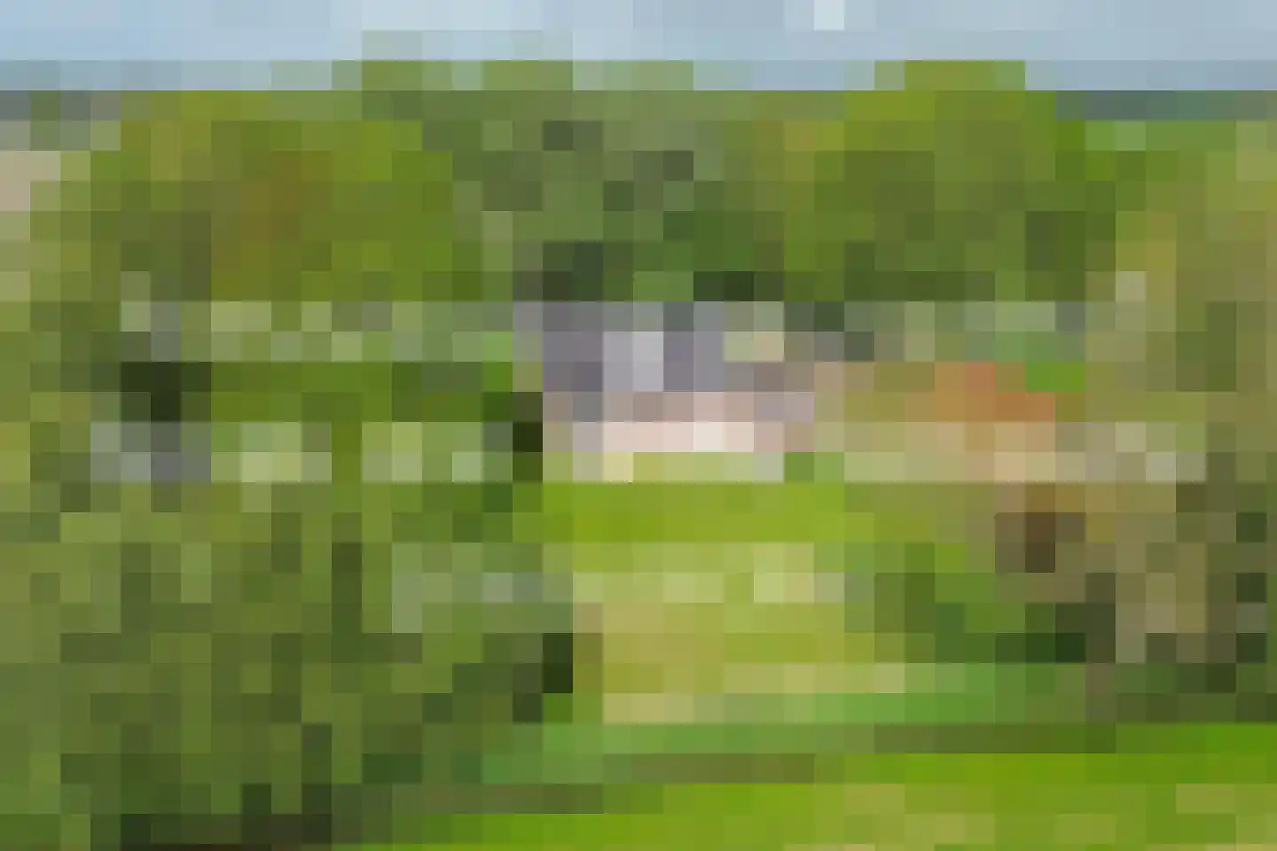Zuidermiedweg 2 Hallum thumbnail 9
