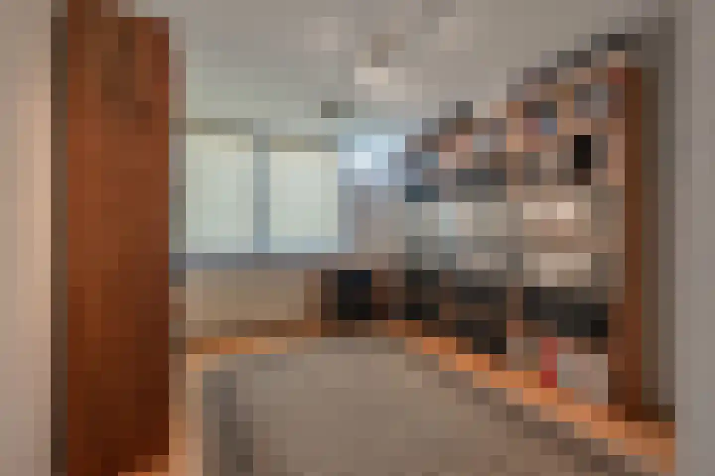 Zuidernesse 8 Westmaas thumbnail 19