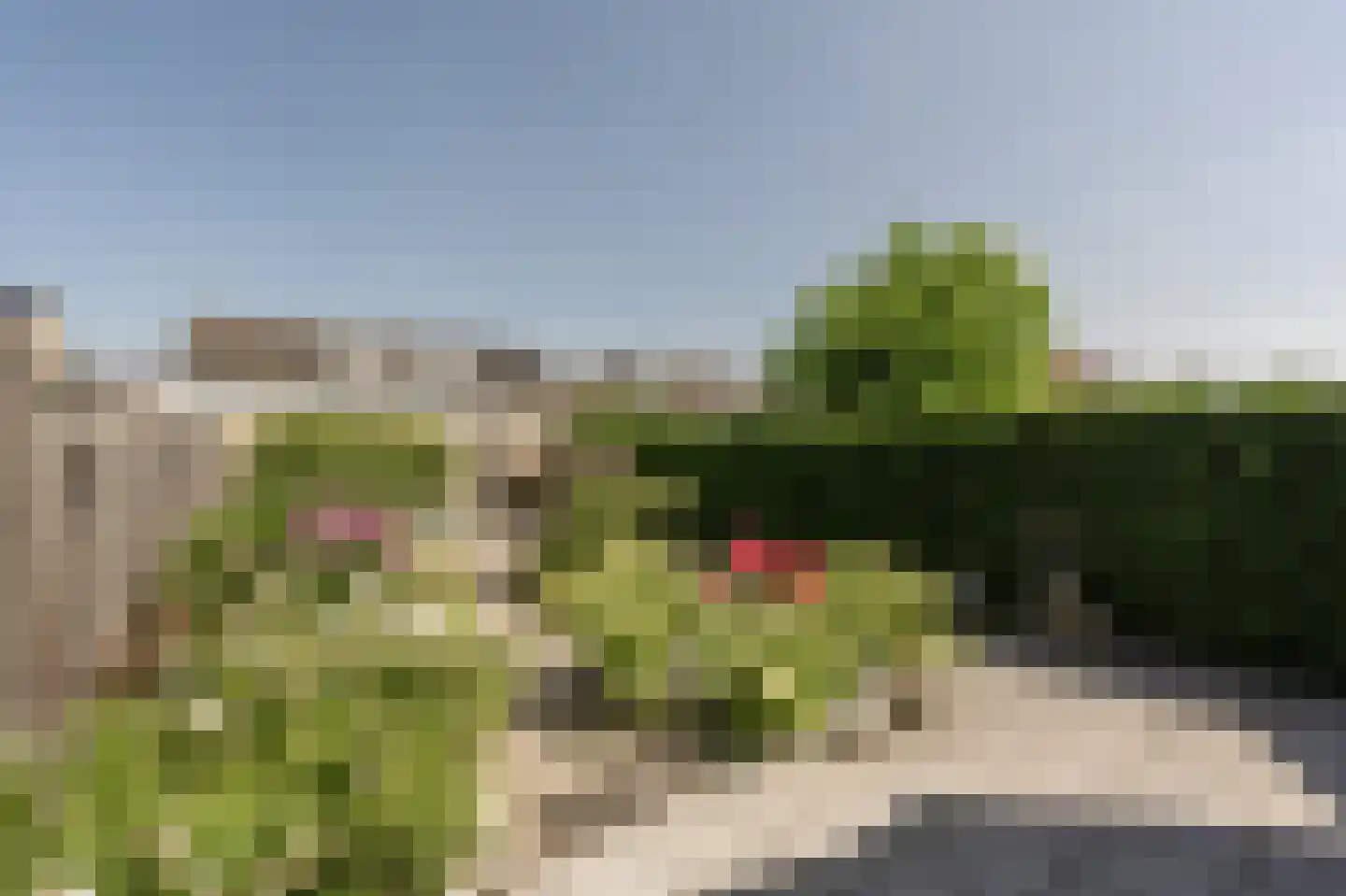 Zuidernesse 8 Westmaas thumbnail 23