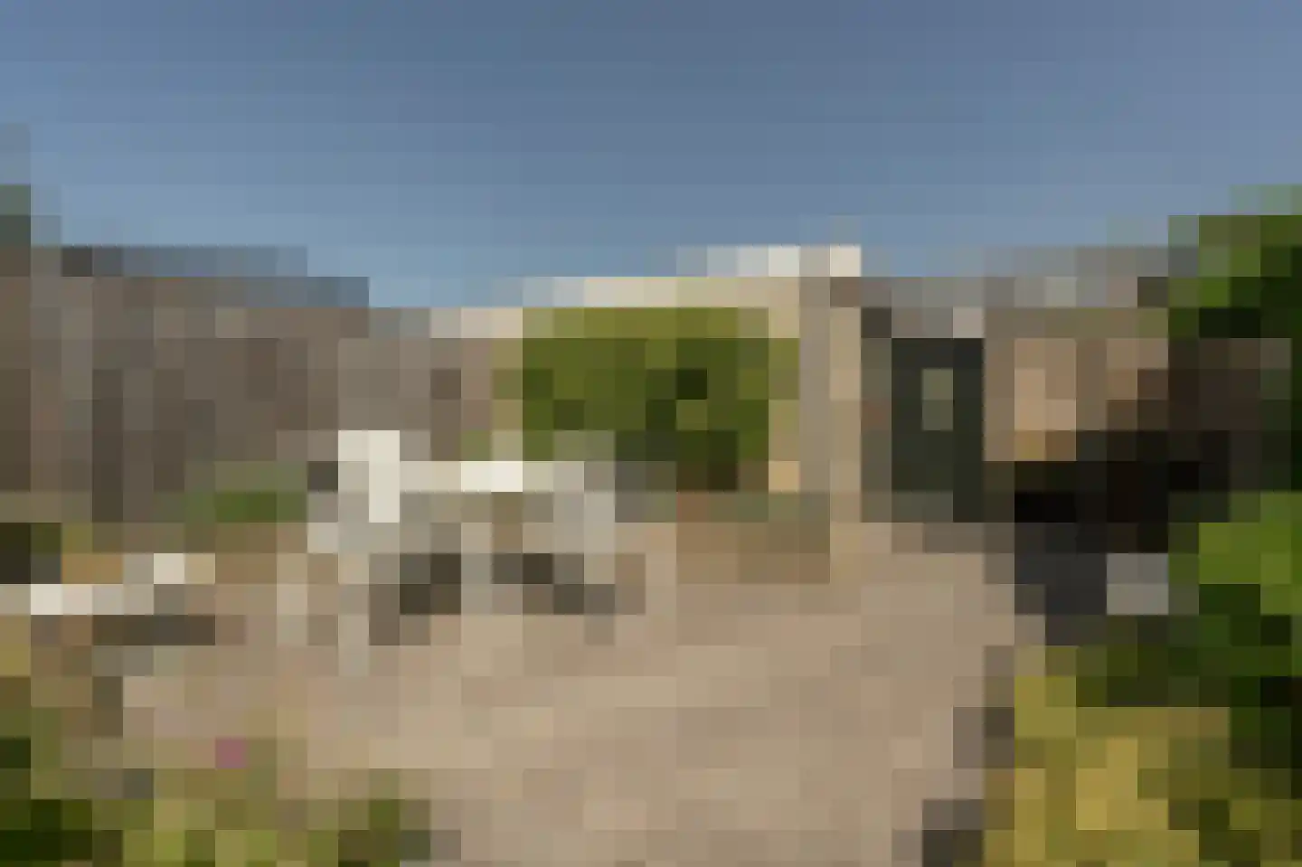 Zuidernesse 8 Westmaas thumbnail 24