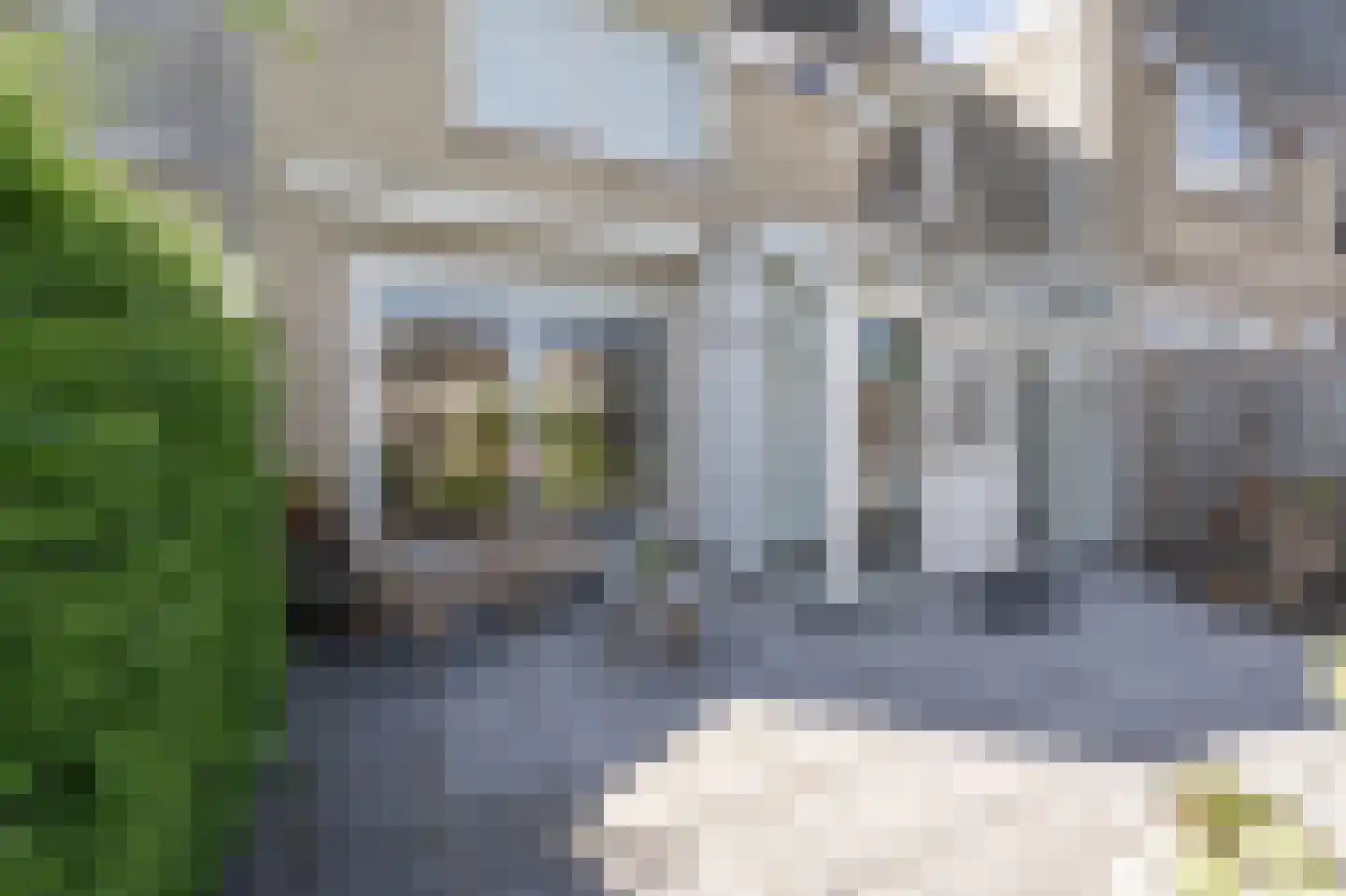 Zuidernesse 8 Westmaas thumbnail 25