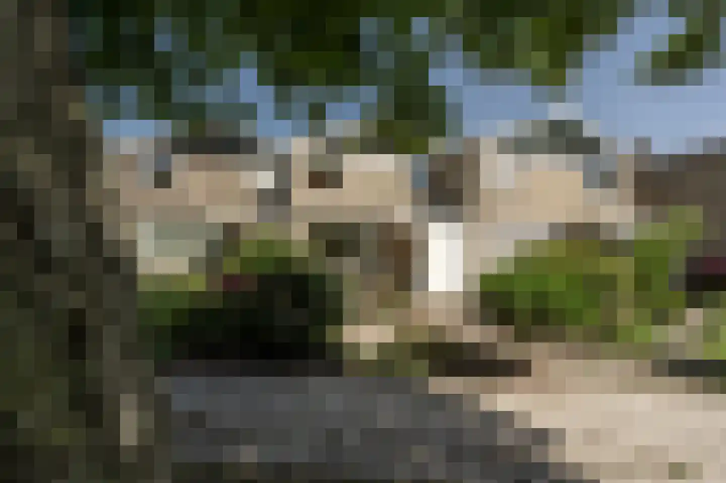 Zuidernesse 8 Westmaas thumbnail 27