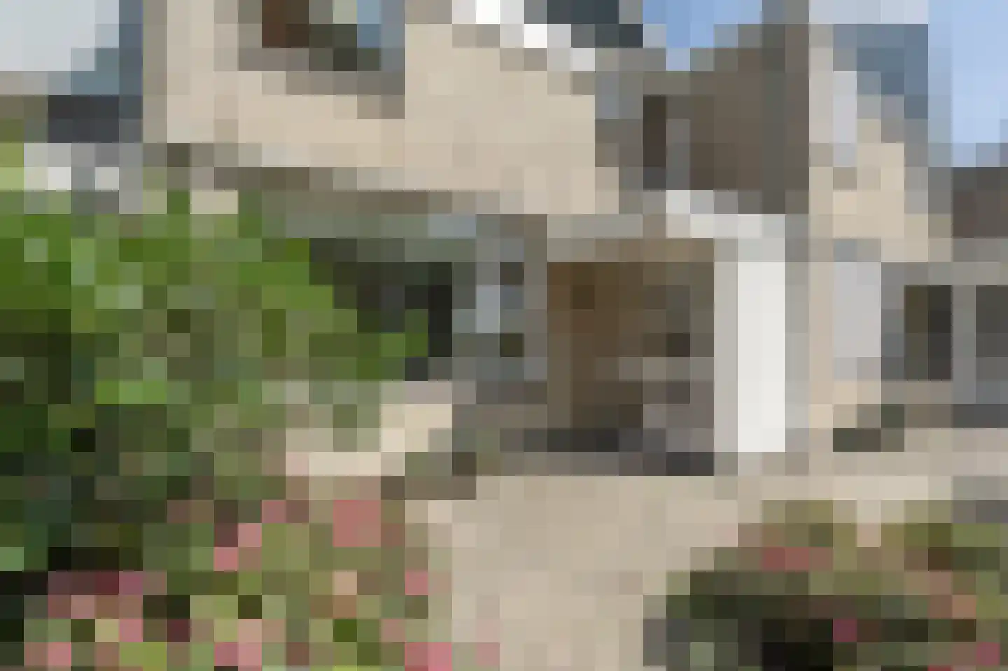 Zuidernesse 8 Westmaas thumbnail 28