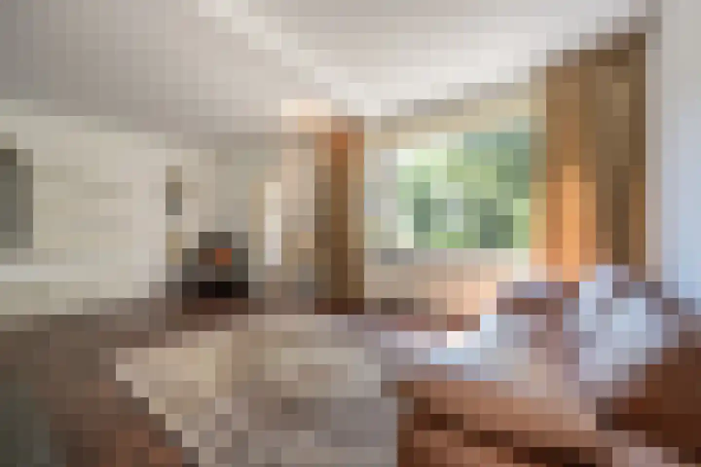 Zuidernesse 8 Westmaas thumbnail 4