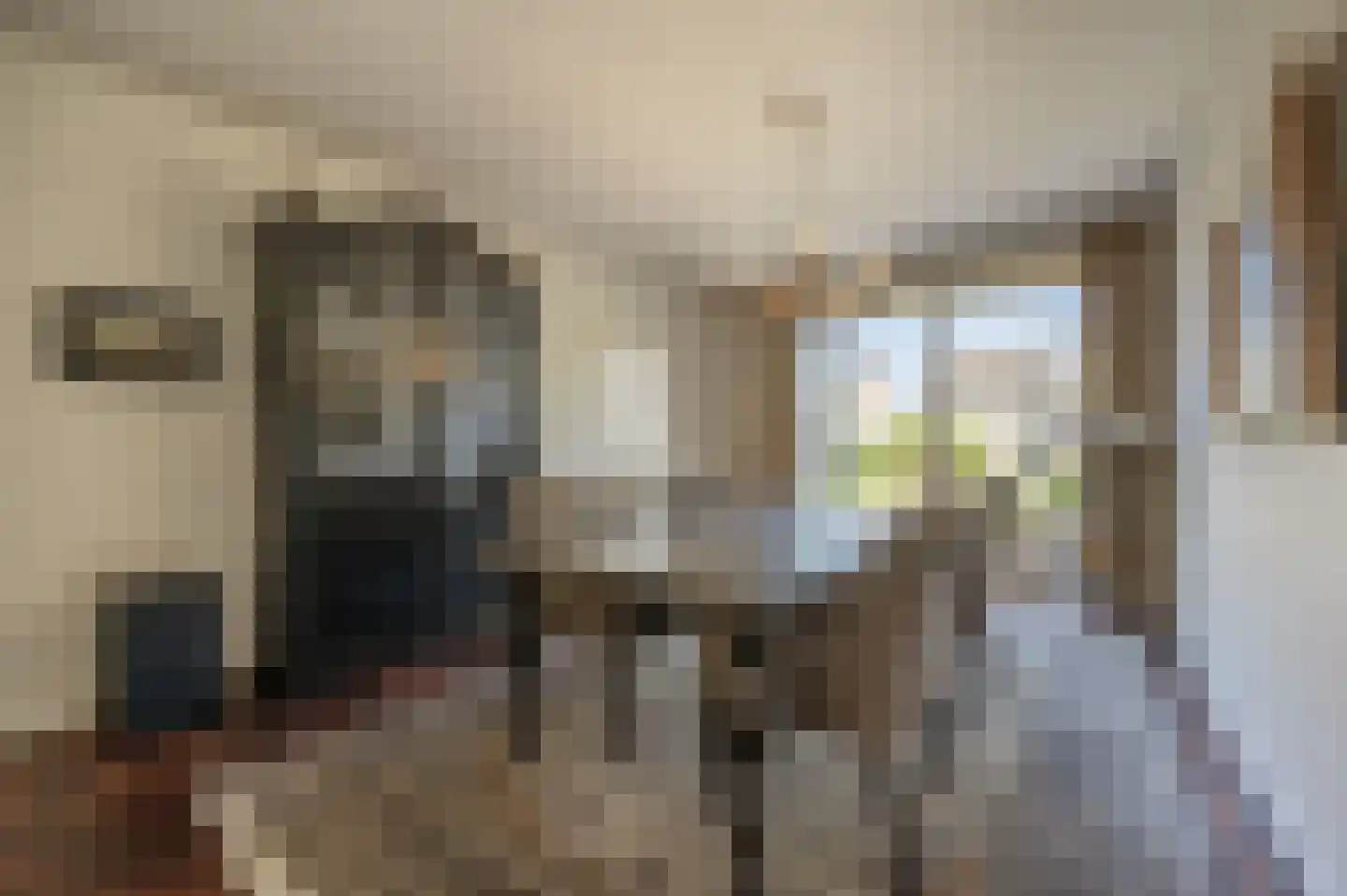 Zuidernesse 8 Westmaas thumbnail 7