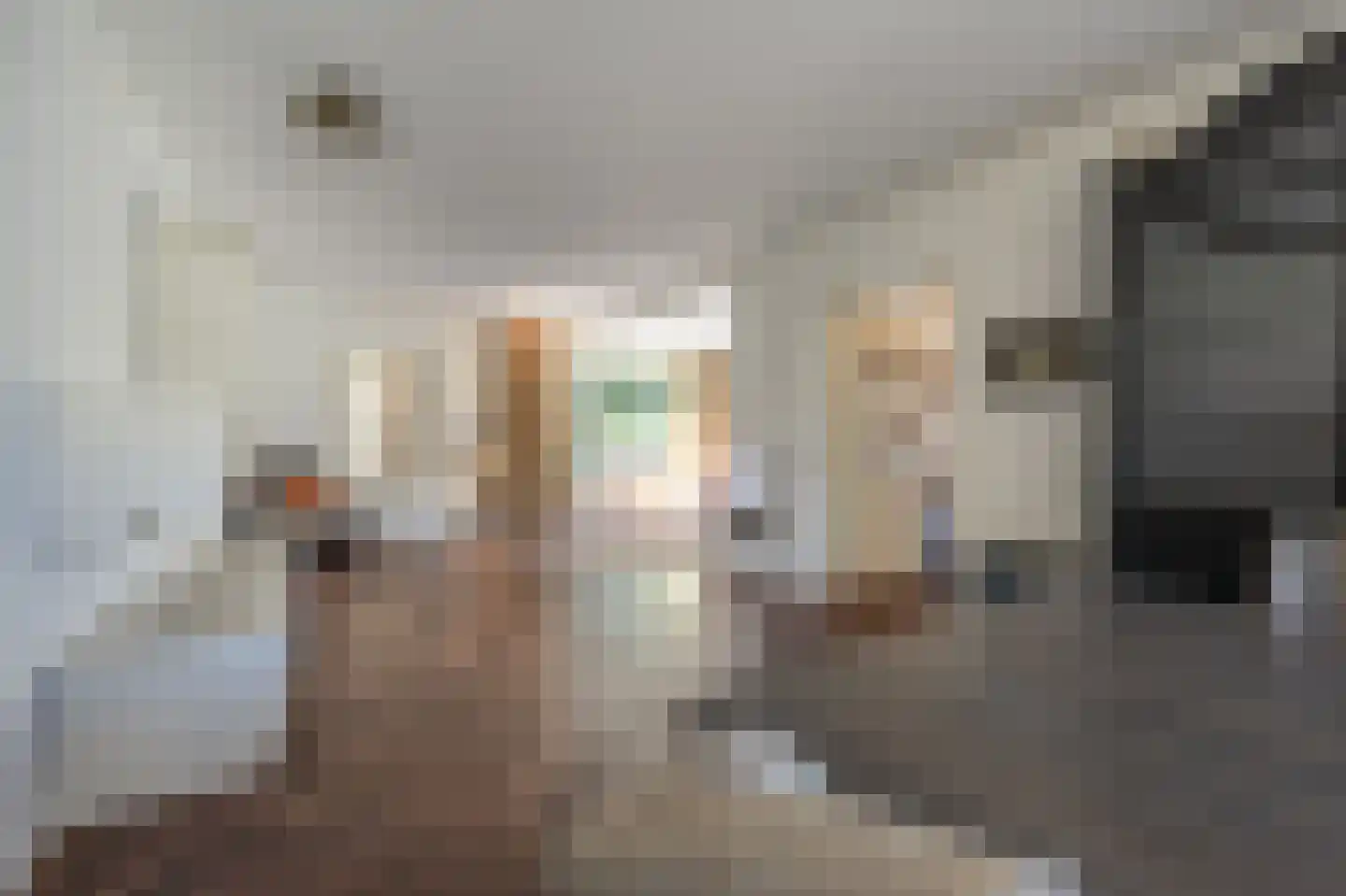 Zuidernesse 8 Westmaas thumbnail 8