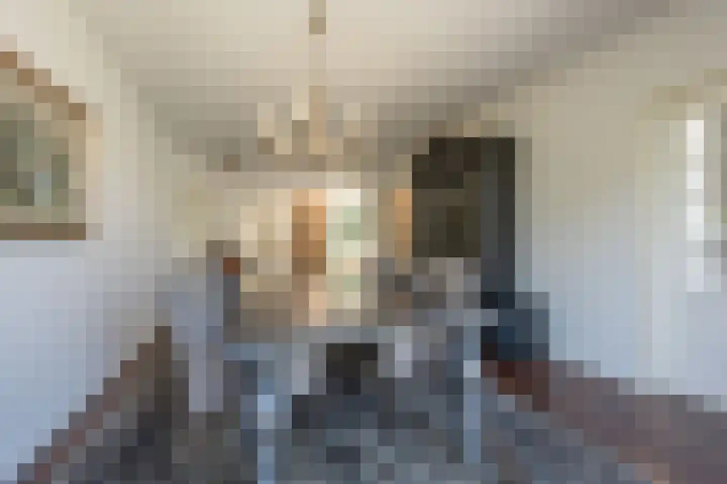 Zuidernesse 8 Westmaas thumbnail 9