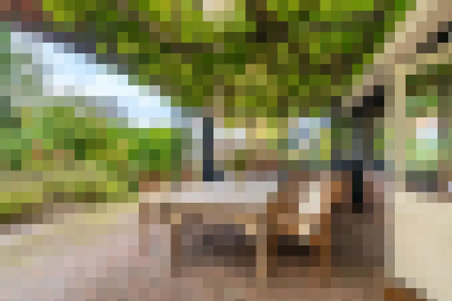 Zuideromweg 5 Noordbroek thumbnail 39