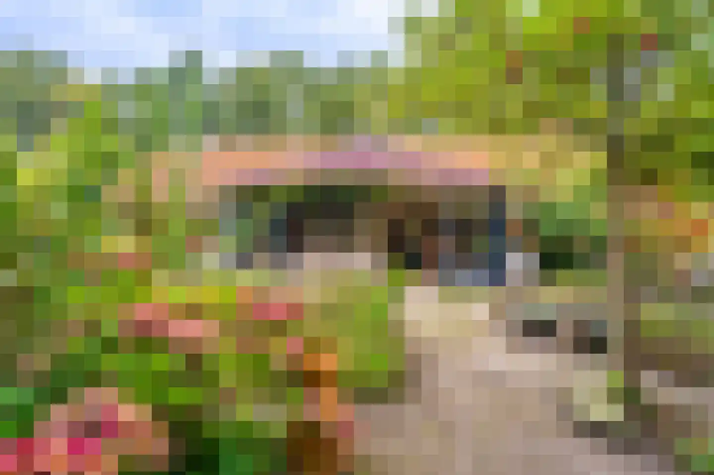 Zuideromweg 5 Noordbroek thumbnail 42