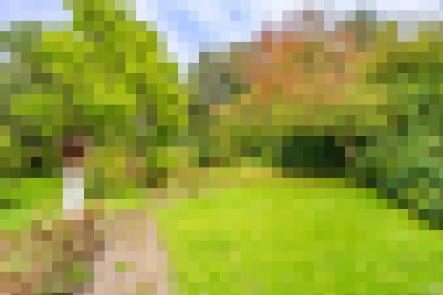 Zuideromweg 5 Noordbroek thumbnail 46