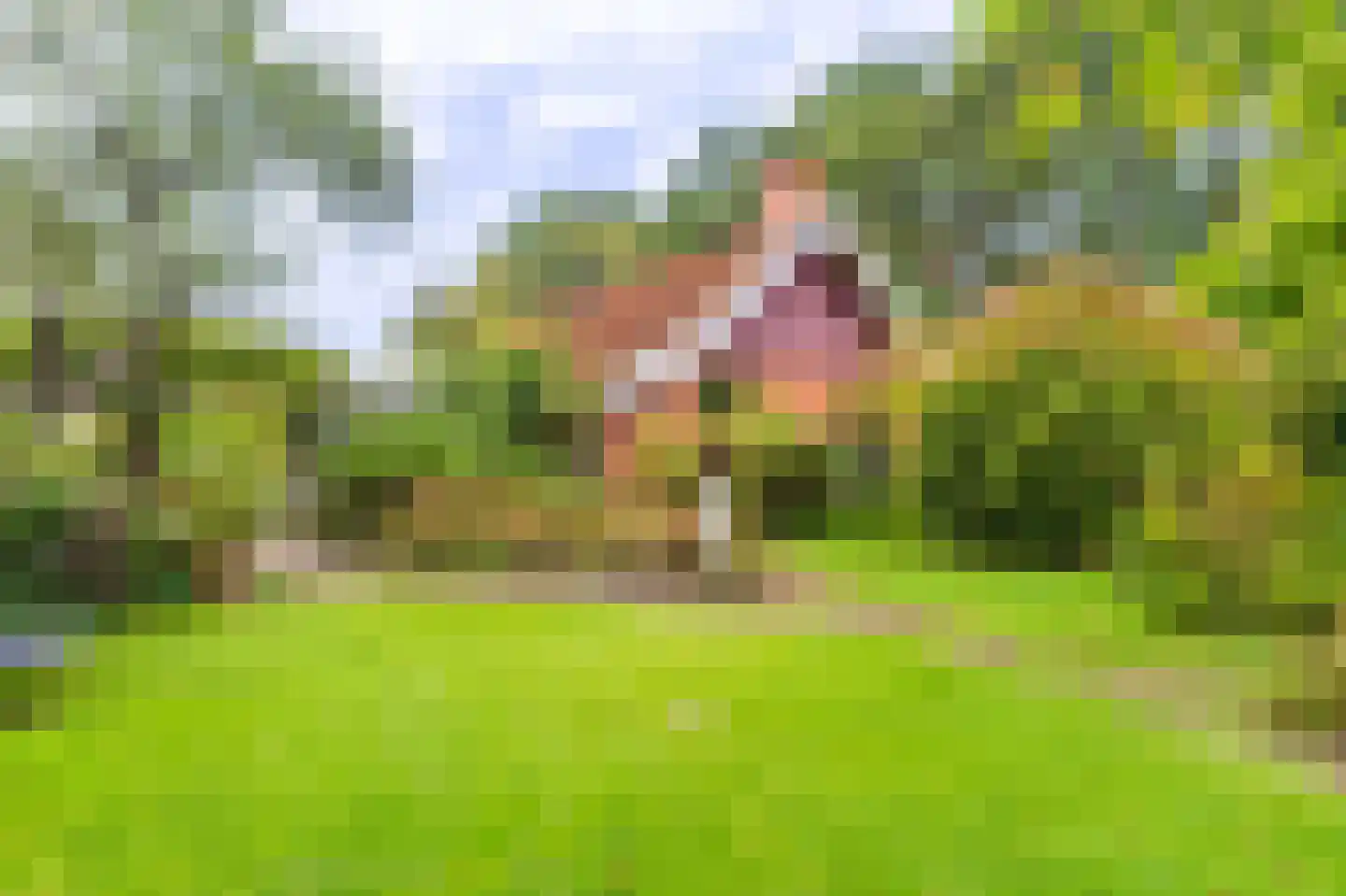 Zuideromweg 5 Noordbroek thumbnail 47