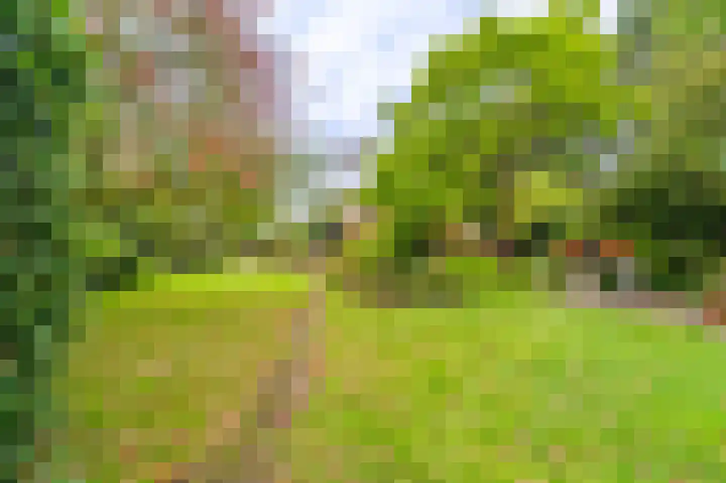 Zuideromweg 5 Noordbroek thumbnail 48