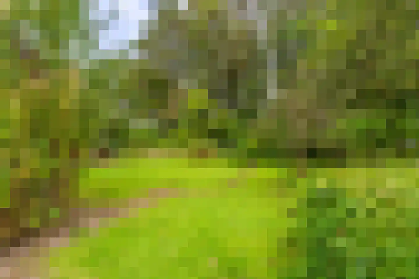 Zuideromweg 5 Noordbroek thumbnail 49