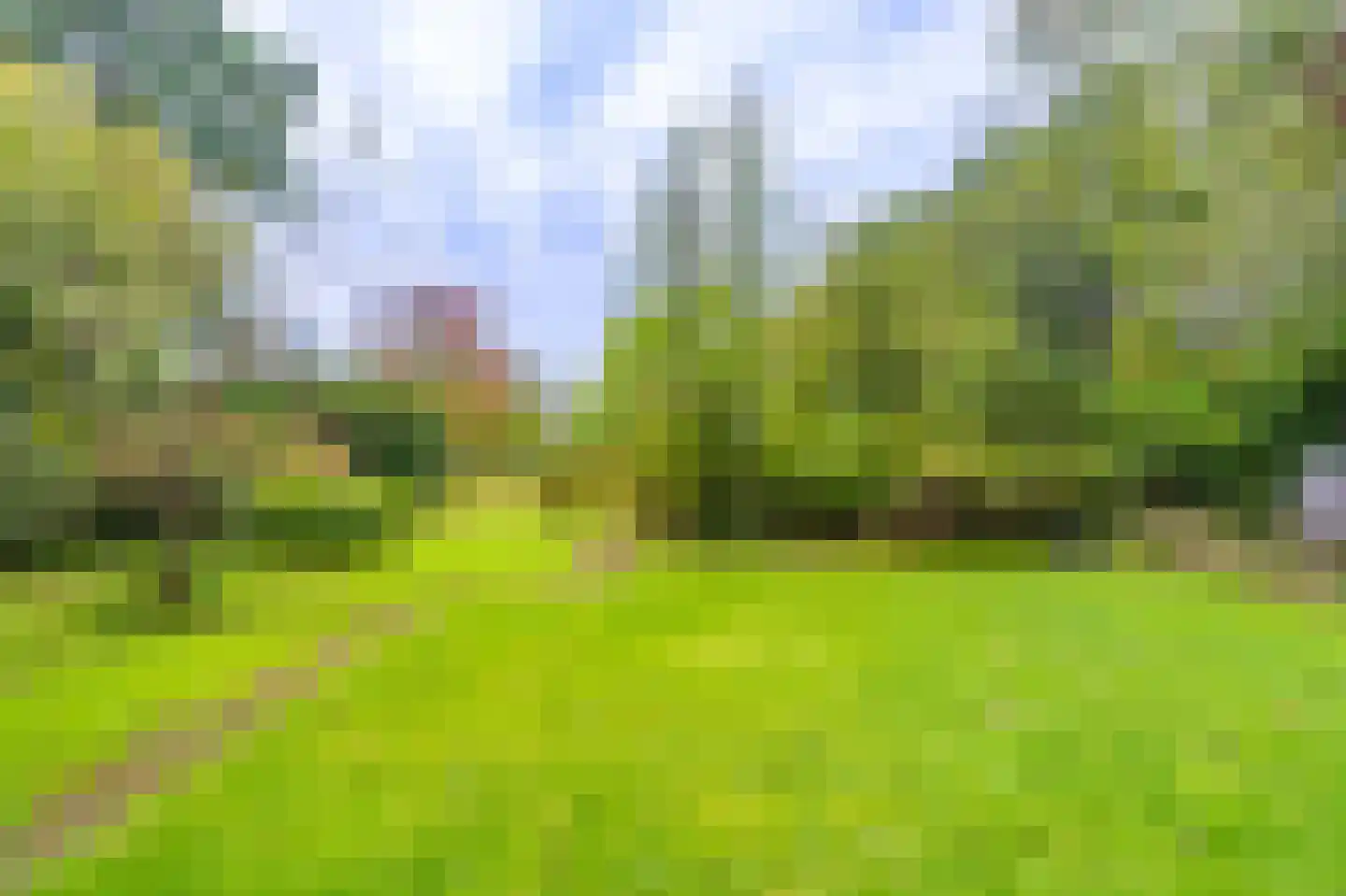 Zuideromweg 5 Noordbroek thumbnail 50