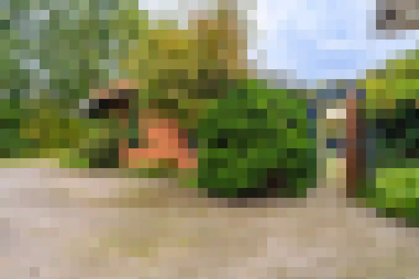 Zuideromweg 5 Noordbroek thumbnail 54