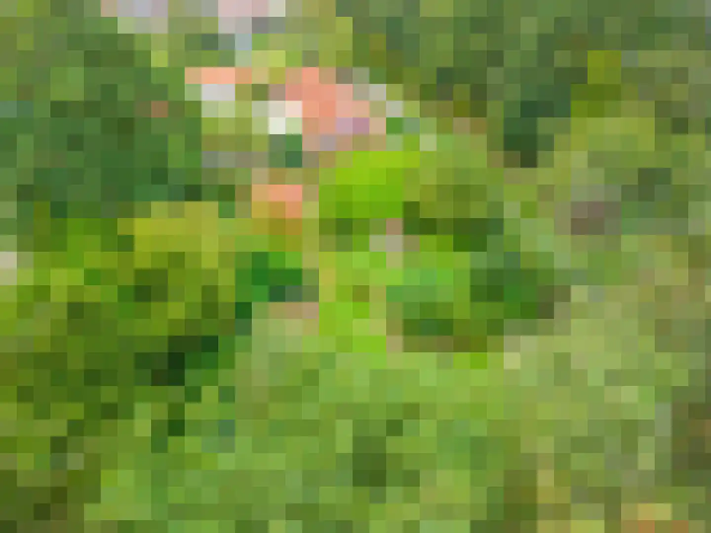 Zuideromweg 5 Noordbroek thumbnail 6