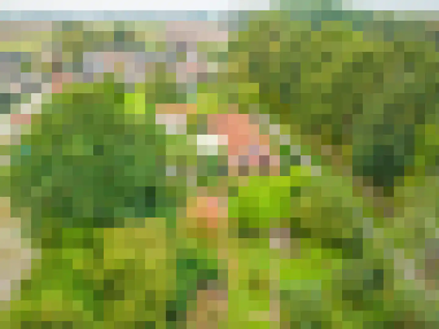 Zuideromweg 5 Noordbroek thumbnail 7