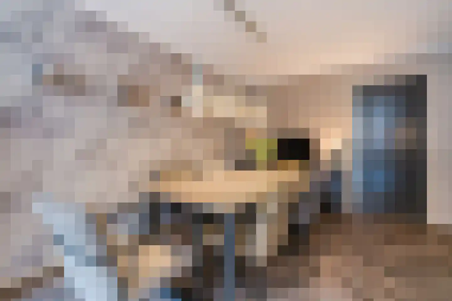 Zuideropgaande 142 Hollandscheveld thumbnail 14