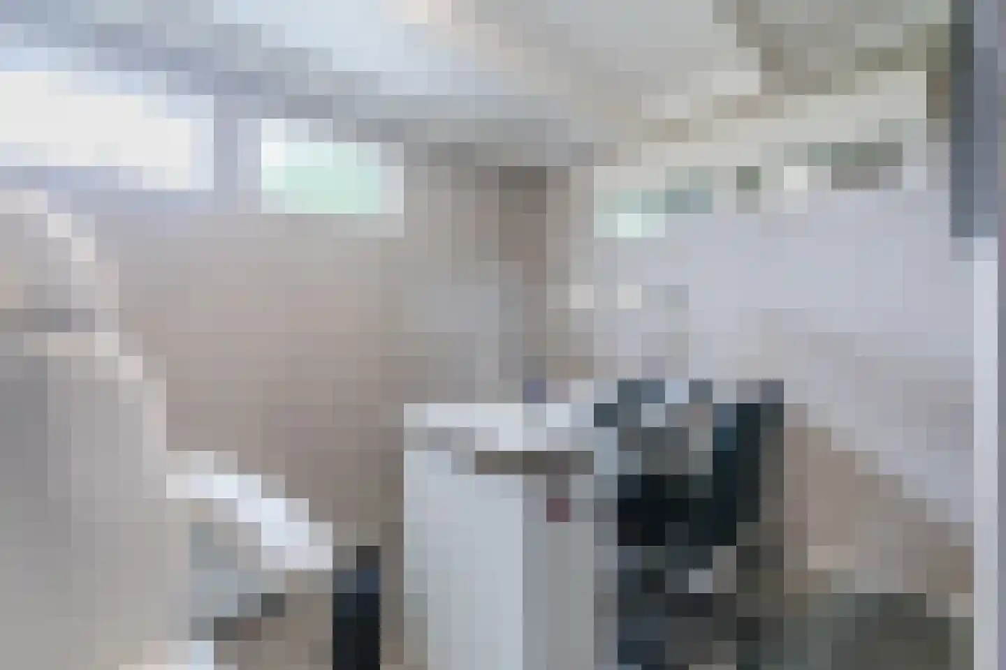 Zuideropgaande 142 Hollandscheveld thumbnail 19