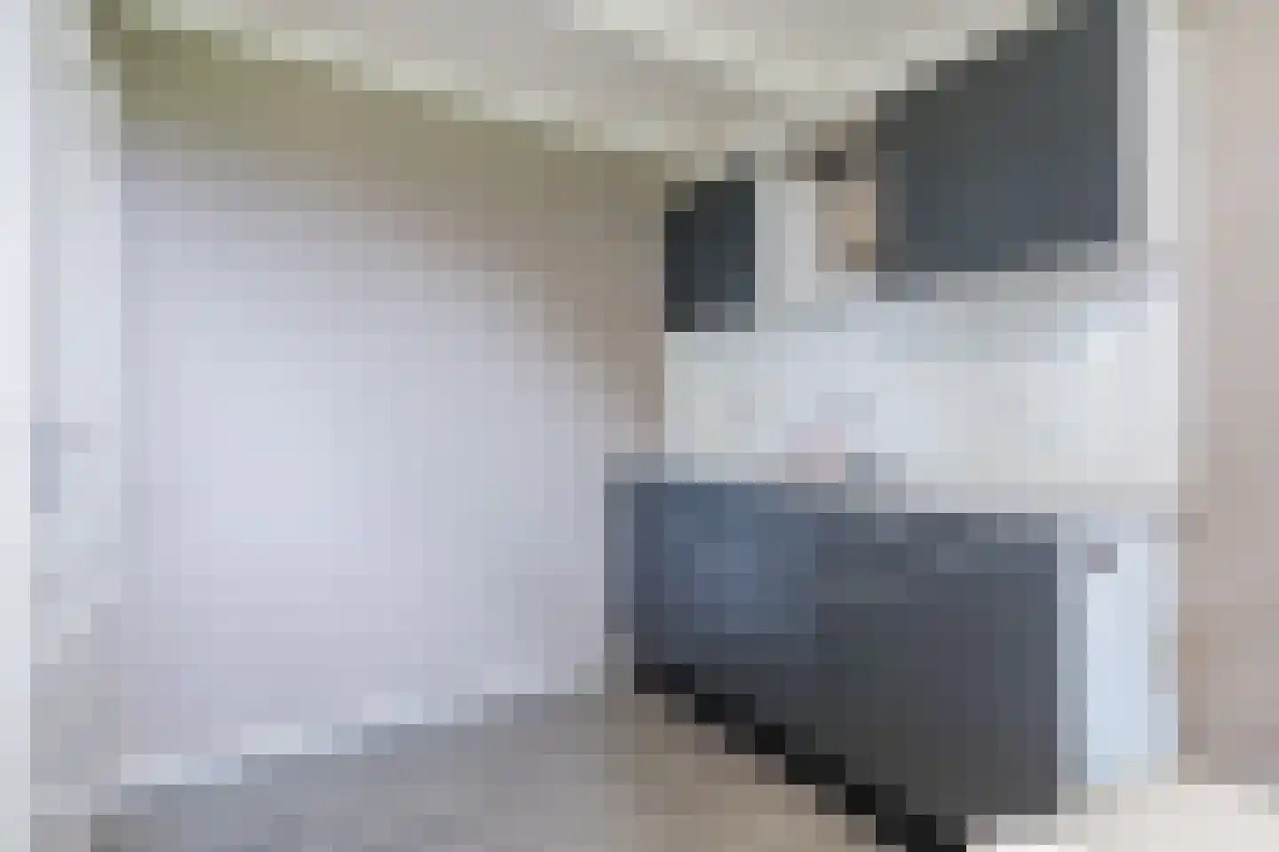 Zuideropgaande 142 Hollandscheveld thumbnail 20