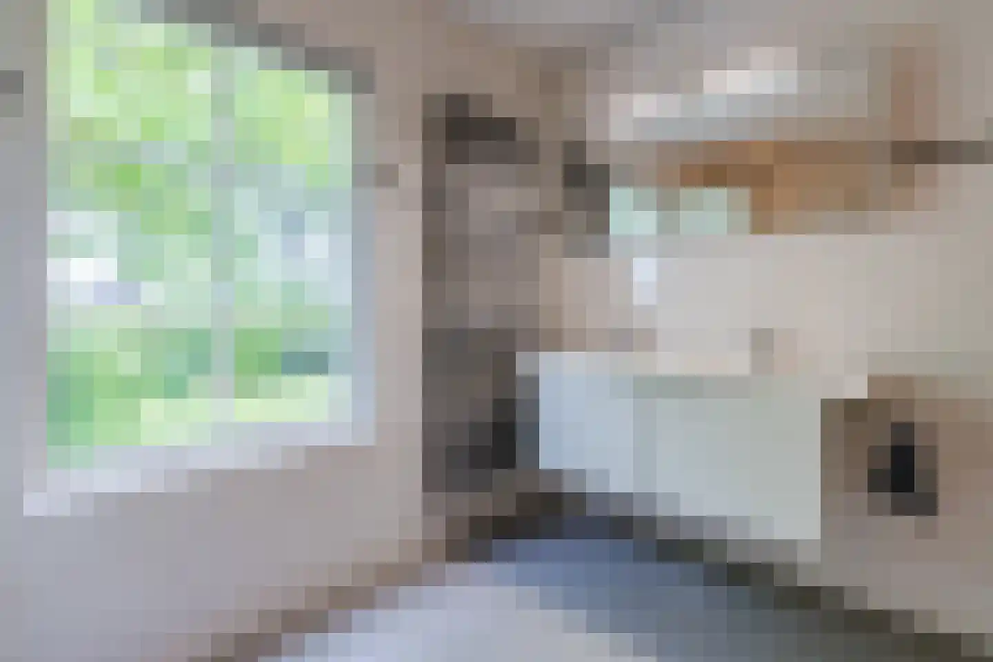 Zuideropgaande 142 Hollandscheveld thumbnail 21