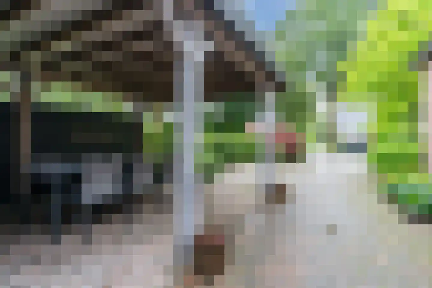 Zuideropgaande 142 Hollandscheveld thumbnail 36