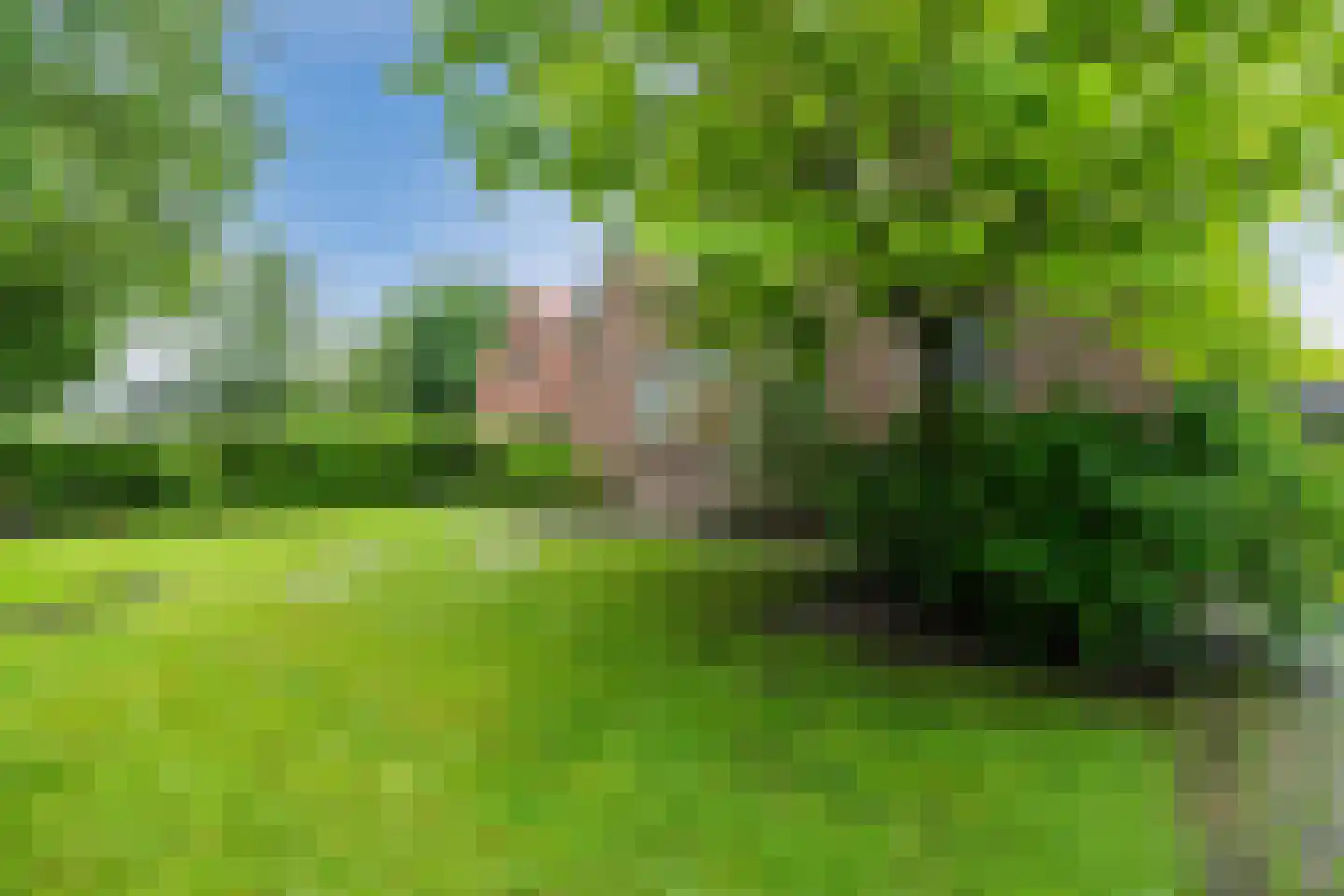 Zuideropgaande 142 Hollandscheveld thumbnail 39