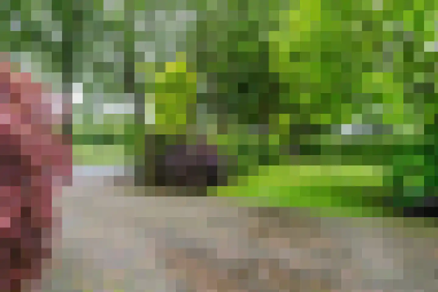 Zuideropgaande 142 Hollandscheveld thumbnail 4